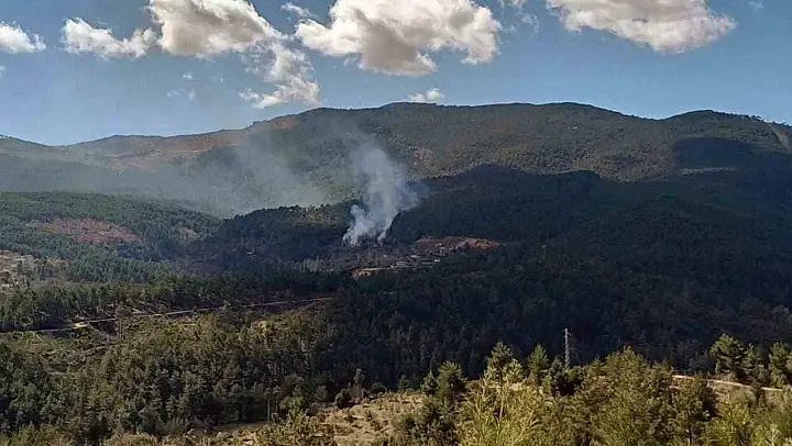 Kavaklıdere'de arazi yangını