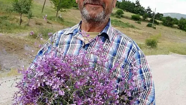 Kayıp şahsın cansız bedenine ulaşıldı