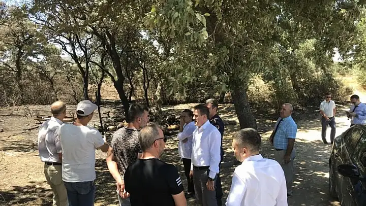 Kaymakam Memiş, 33 koyunun telef olduğu ağılda inceleme yaptı