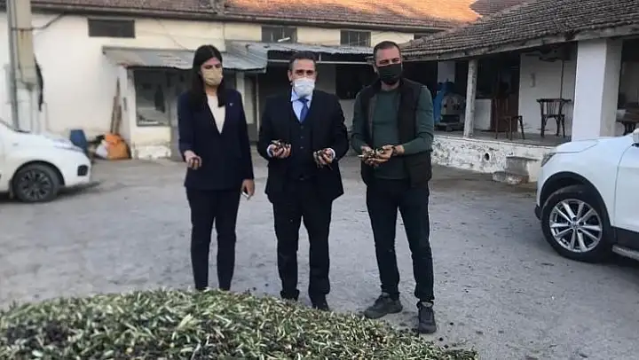 Kaymakam Memiş, zeytinyağı işletmesini ziyaret etti