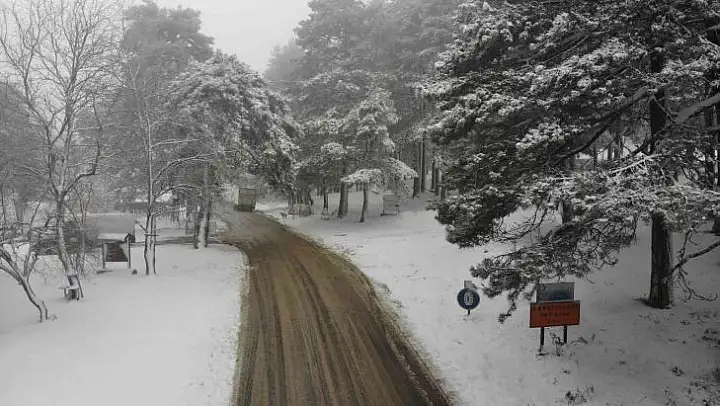 Kazdağları'nda kar şiddetini artırarak devam ediyor