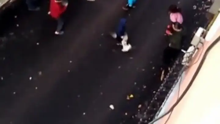 Kediler kavga etti ortada kalan çocuk ne yapacağını şaşırdı