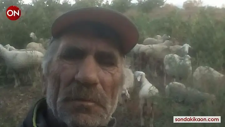 Kıbrıs gazisi, koyunlarını ekili arazilerden kovalarken kalp krizinden öldü