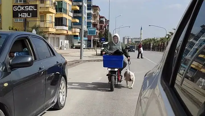 Köpeği motora bağlayıp sürüklerken gazeteciye saldıran sürücüden ilginç savunma: 'Spor yaptırıyorum'