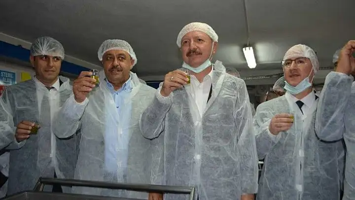 Körfez bölgesinde ilk hasat zeytinler sıkıldı