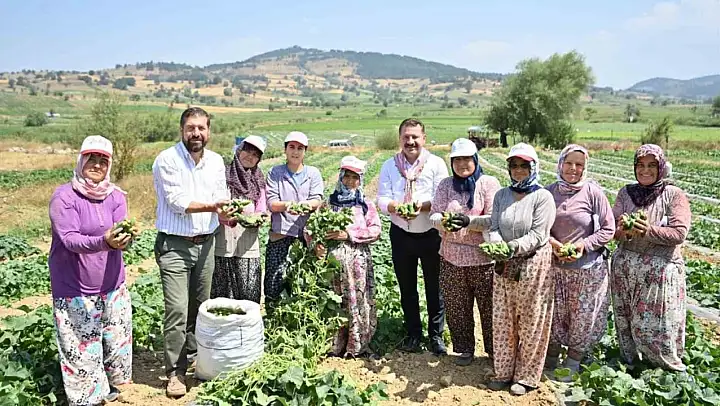 Kornişon salatası binlerce aileye ekmek kapısı oldu