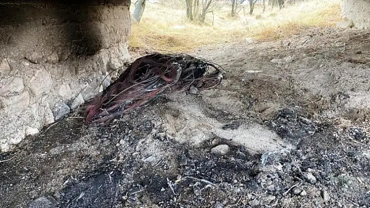 Kütahya'da kablo hırsızı foto kapan sayesinde yakalandı