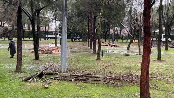 Manisa Büyükşehir sağanak ve fırtına sonrası yaraları sardı