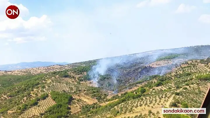 Manisa'da çıkan orman yangını kontrol altında