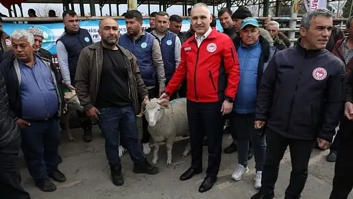 Manisa'da damızlık koç dağıtımı tamamlandı