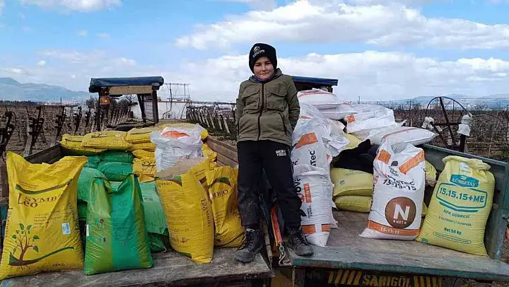 Manisa'da üzüm bağlarına kışlık gübre veriliyor