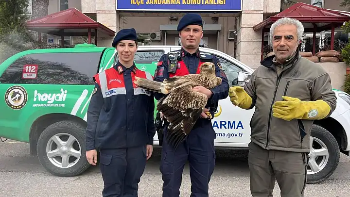 Manisa jandarma Kızıl Şahin'e sahip çıktı