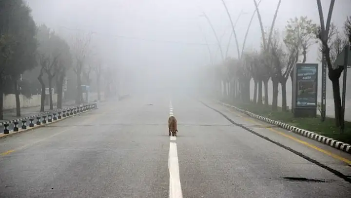 Manisa kısıtlamanın son gününe sis içinde uyandı