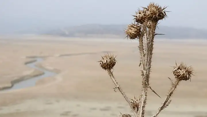 Manisa son 13 yılın en kurak mevsimini yaşıyor