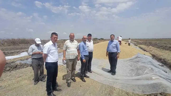 Manyas'ta TMO hububat alım merkezi açıldı
