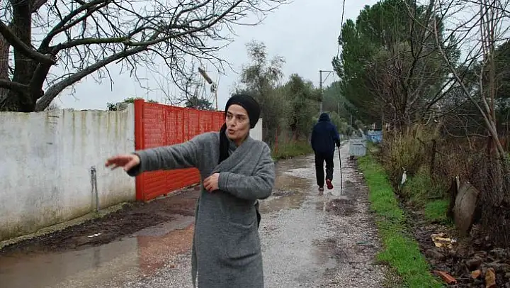 Menderes'te başıboş köpekler, mahallelinin kabusu oldu