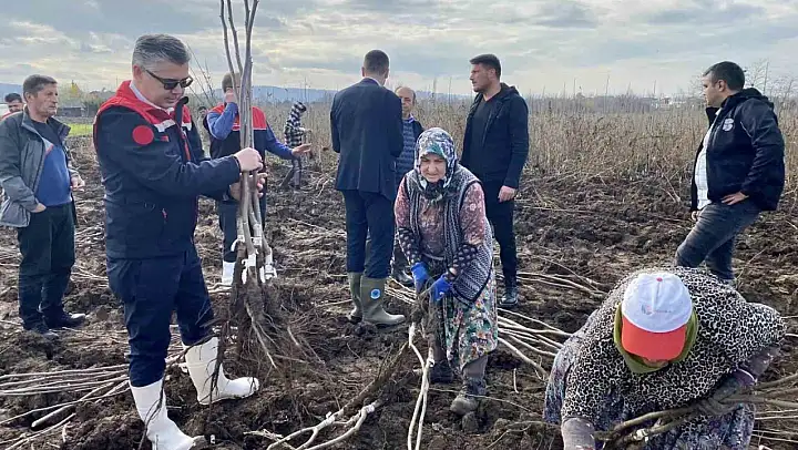 Meyve Fidanı Üretimi Ülke Ekonomisine Büyük Katkı Sağlıyor