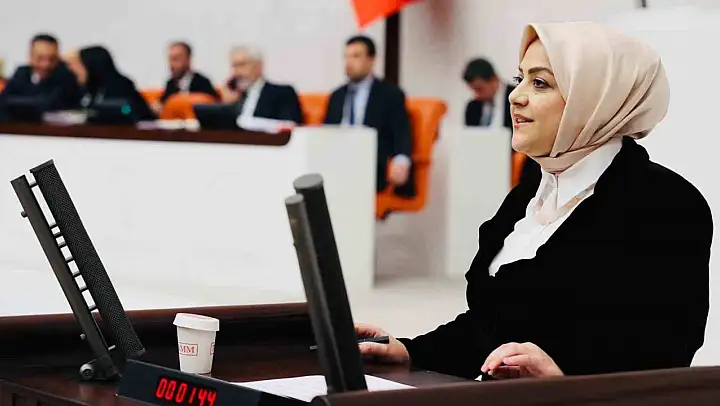 Milletvekili Ün 'İklim Yasasına hayır diyorum'