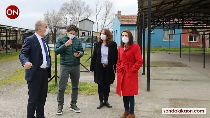 Mudanya'ya sokak hayvanları rehabilitasyon merkezi ve barınak