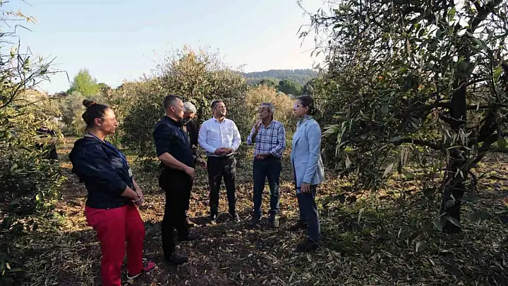 Muğla Büyükşehir'den 'Don'dan zarar gören üreticilere destek
