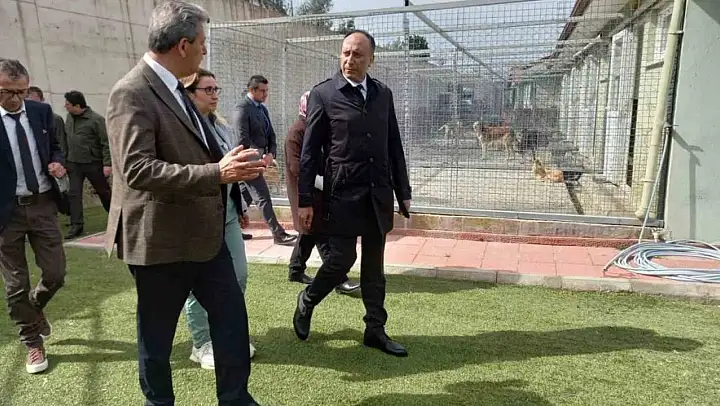 Muğla Büyükşehir Geçici Hayvan Bakım Evi'nde inceleme