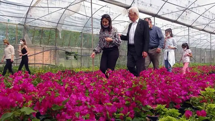 Muğla'da üretilen çiçekler 25 ilin sokaklarını süslüyor