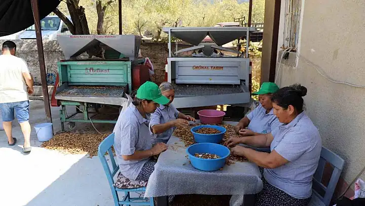 Muğla'nın tarımsal ürünleri dünyaya açılıyor