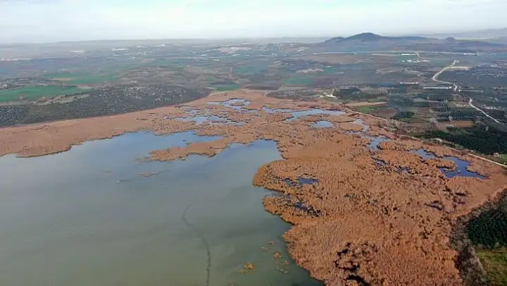(Özel) 2600 yıllık geçmişi olan Uluabat Gölü'nde kuraklık tehlikesi