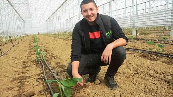 (Özel) Balıkesir muz üretimi ile Antalya ve Mersin'e rakip olacak