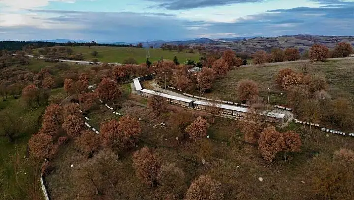 (Özel) Balın kraliçeleri sezona hazırlanıyor