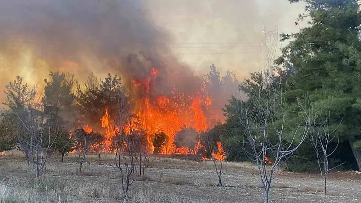(ÖZEL) Çanakkale'de 4 hektar ormanlık alanın etkilendiği yangına sebep olan 2 kardeşe 4 milyon 600 TL para cezası kesildi