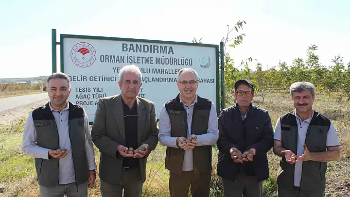 (Özel) Güney Marmara'da ceviz yüz güldürdü