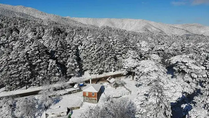 (Özel) Kazdağları adeta gelinlik giydi