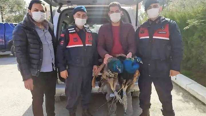 Şaka gibi hırsızlık şebekesi