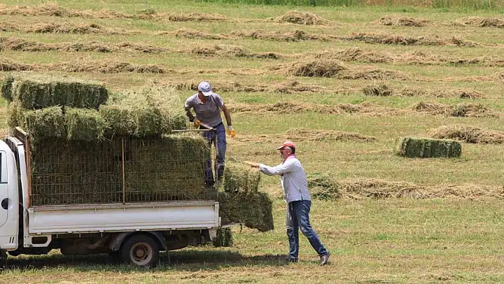 Saman fiyatları 3 ayda yüzde 18,4 yükseldi