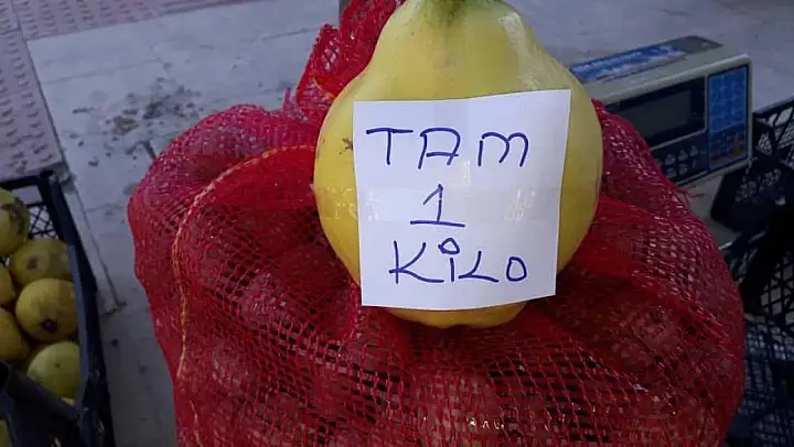 Sarıgöl'de limon ayva üretimi yaygınlaşıyor