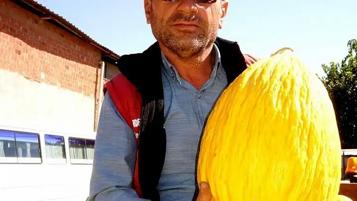 Sarıgöllü üretici 11 kilogramlık kavun yetiştirdi