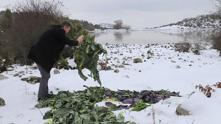 Saruhanlı Belediyesi yaban hayvanlarını unutmadı