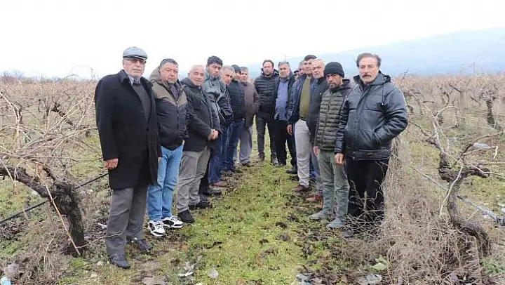 Sattıkları üzümün parasını 7 aydır alamadılar