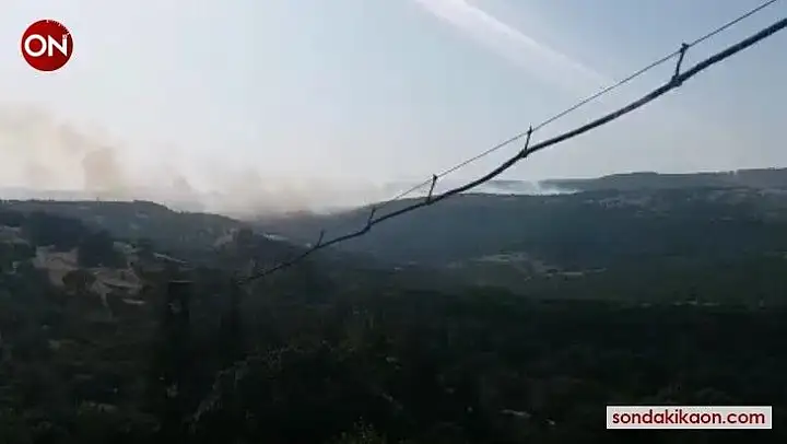 Savaştepe'de orman yangını