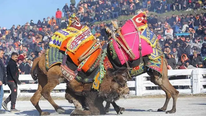 Selçuk'ta '40 Yılın Güreşi'
