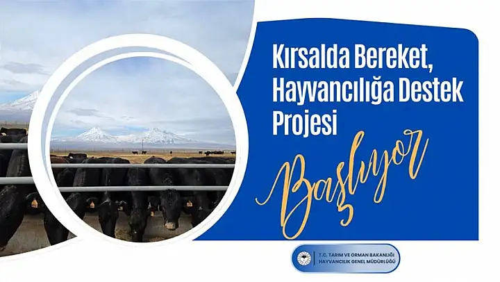 Tarım ve Orman Bakanlığından hayvan yetiştiricilerine gebe düve desteği