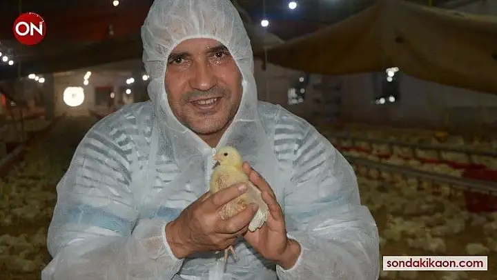 Tavuk yetiştiricilerinden beyaz et şirketlerine mesaj