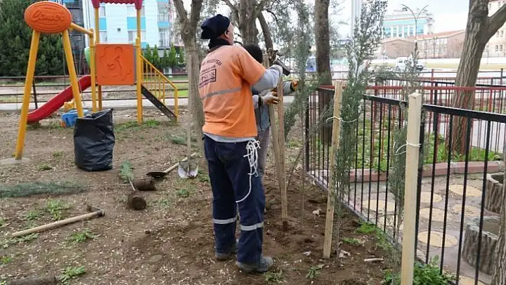 Turgutlu Belediyesinden Mimar Sinan Parkında ağaçlandırma çalışması