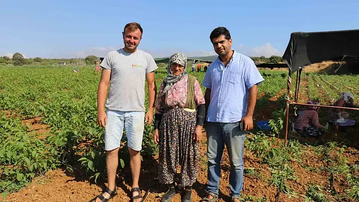 Türkiye'nin ceviz fidanı ihtiyacı bu bölgeden karşılanıyor