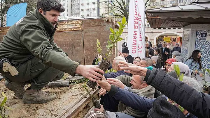 Ücretsiz fidana büyük ilgi
