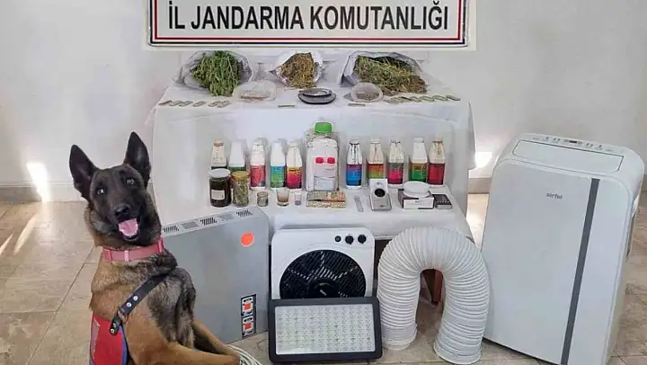 Ula'da uyuşturucu operasyonu