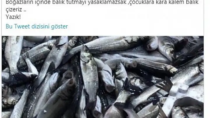 Ünlü komedyen Ata Demirer'den kaçak ve bilinçsiz avlanmaya tepki