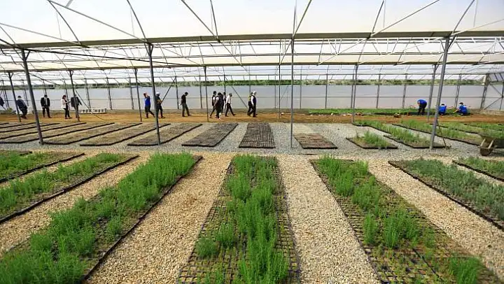 Yağmur hasadıyla yılda 300 ton su tasarrufu