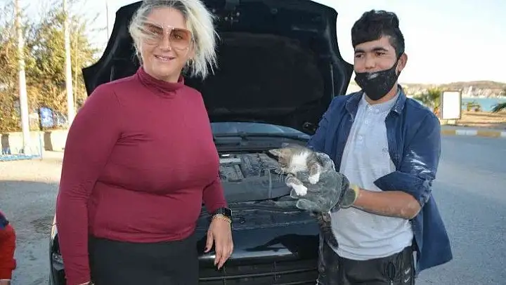 Yavru kediyi kurtarmak için lüks cipi parçalamaya kalkıştılar